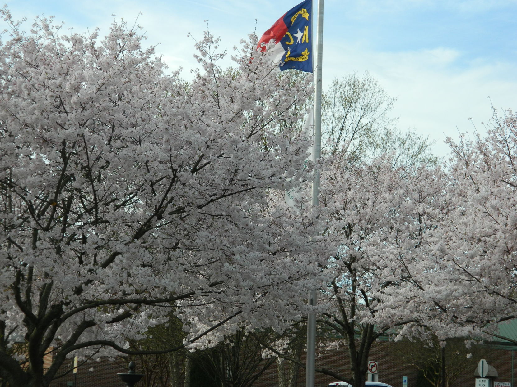 Spring photos (13).JPG